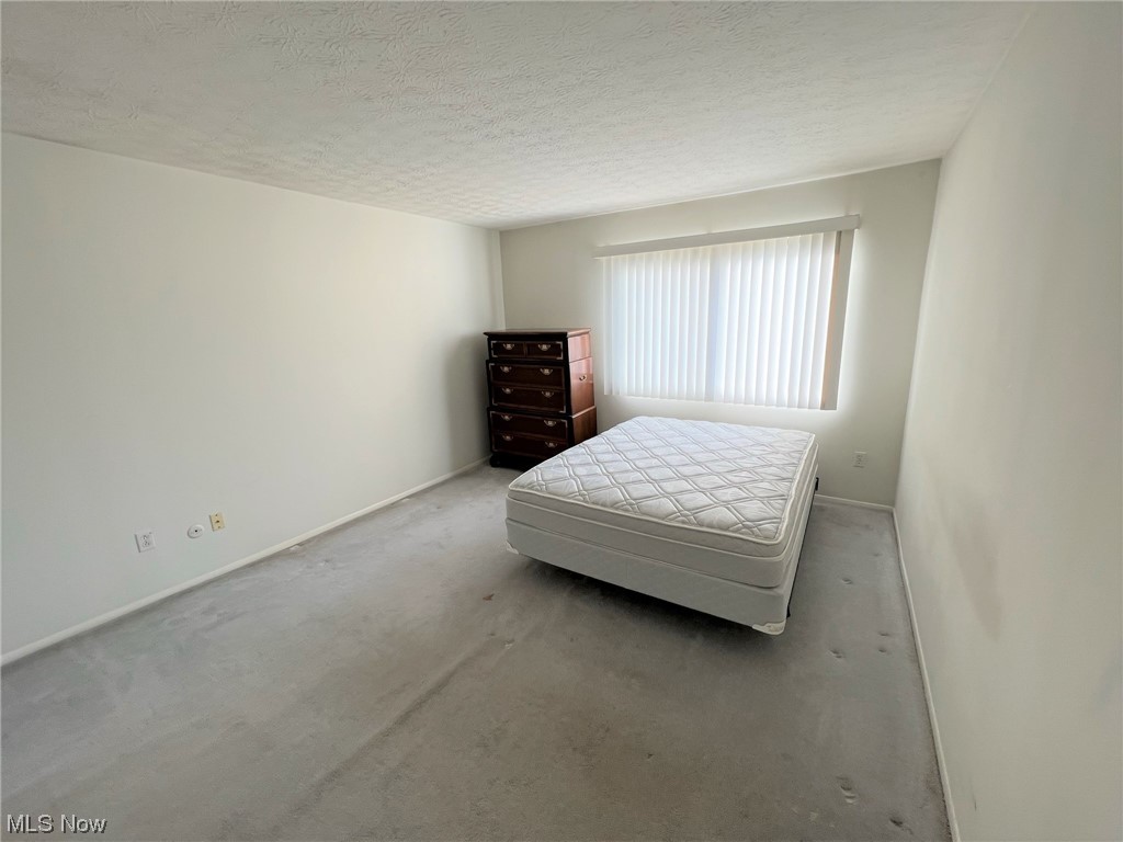 1096 Hampton Ridge Drive Akron, OH 44313 - Photo 25 of 32 2nd bedroom