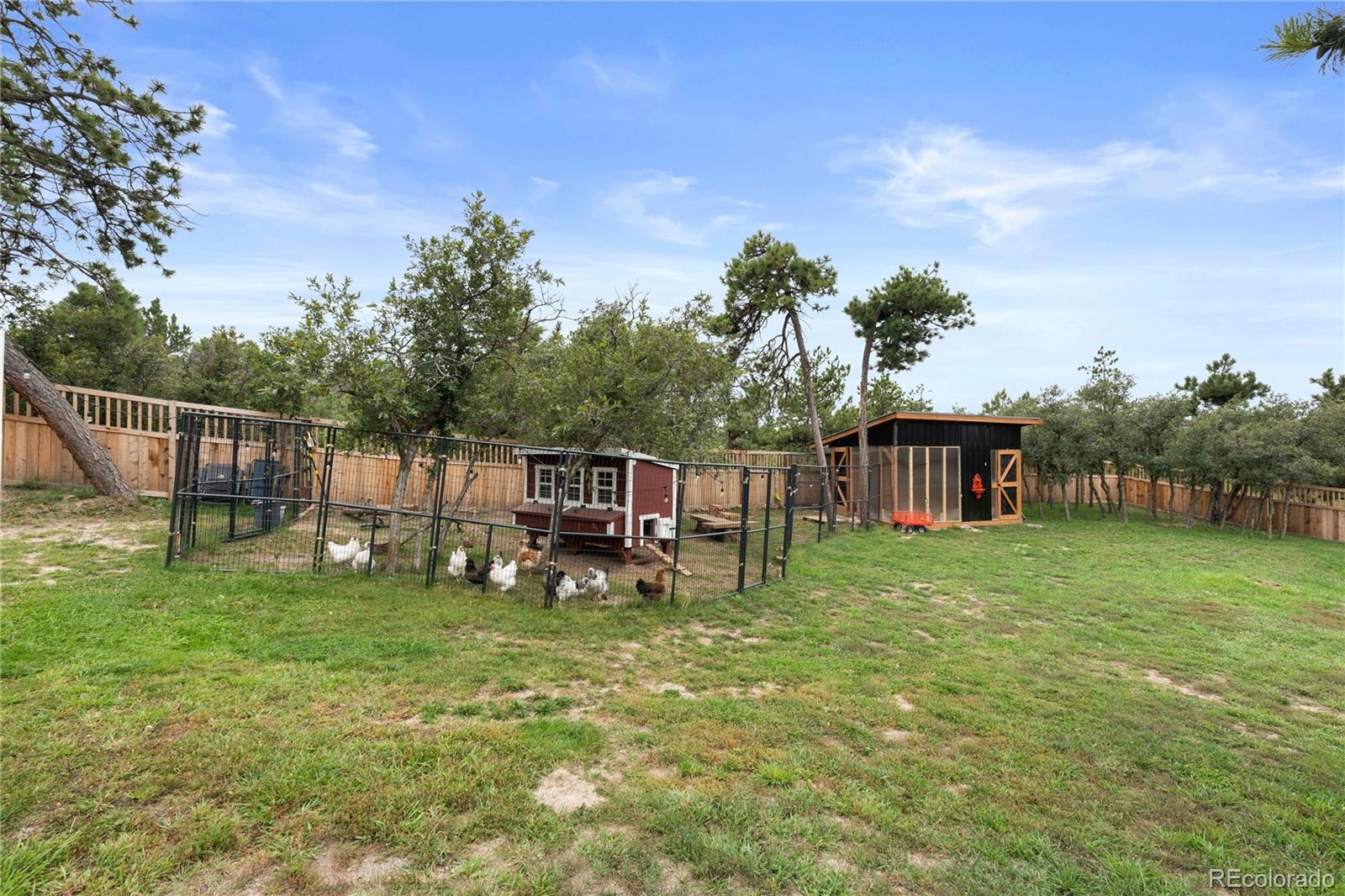 15721 South Furrow Road Larkspur, CO 80118 - Photo 27 of 32