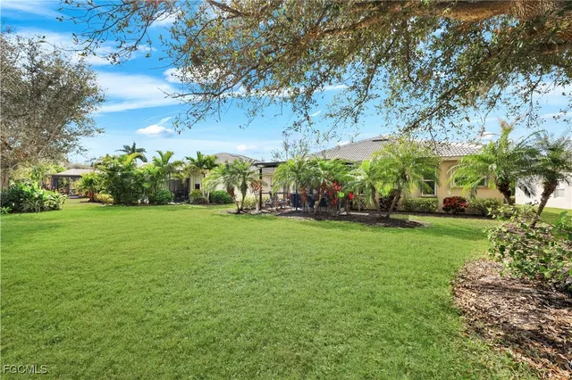 a view of green field