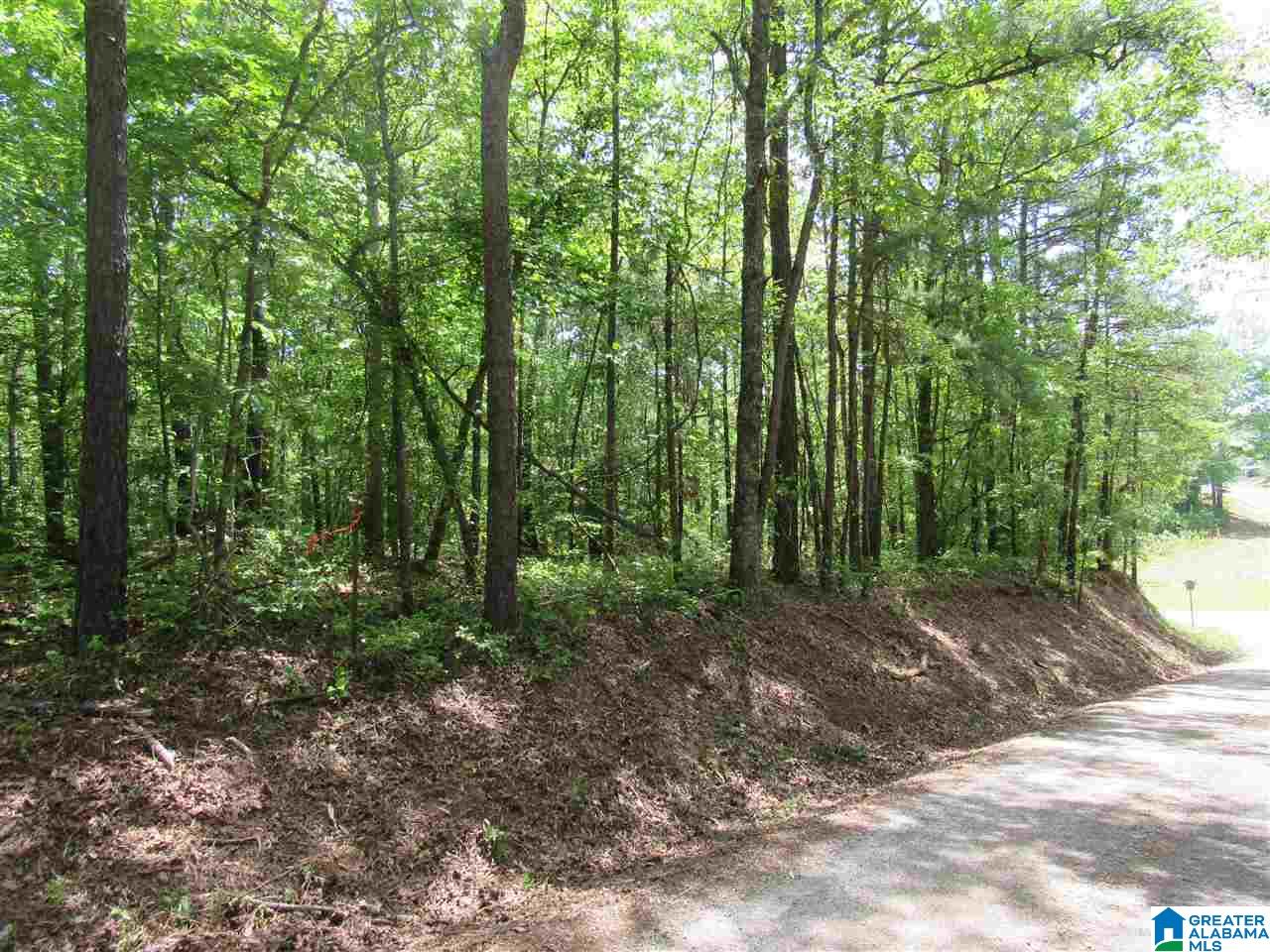 0 County Road 895, Unit 17 ACRES Lineville, AL 36266 - Photo 27 of 30