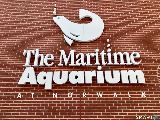 a close view of door