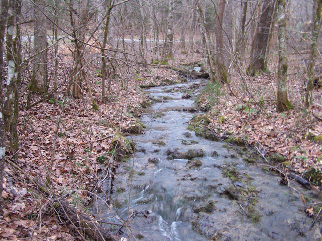 Ponderosa Road Del Rio, TN 37727 - Photo 1 of 9 1