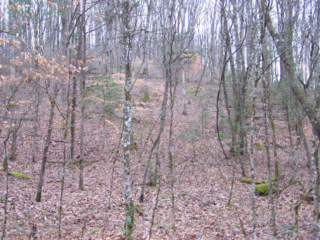 Ponderosa Road Del Rio, TN 37727 - Photo 4 of 9 4