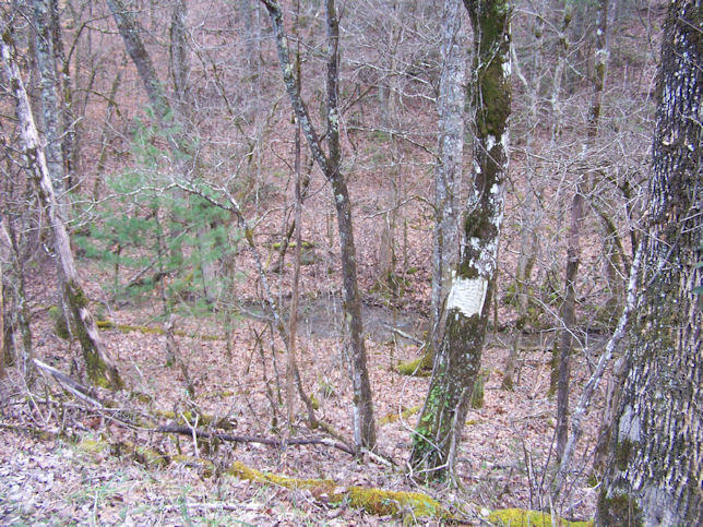 Ponderosa Road Del Rio, TN 37727 - Photo 5 of 9 5