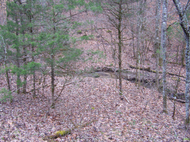 Ponderosa Road Del Rio, TN 37727 - Photo 6 of 9 6