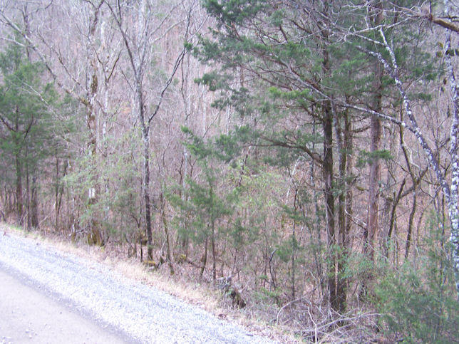 Ponderosa Road Del Rio, TN 37727 - Photo 9 of 9 9
