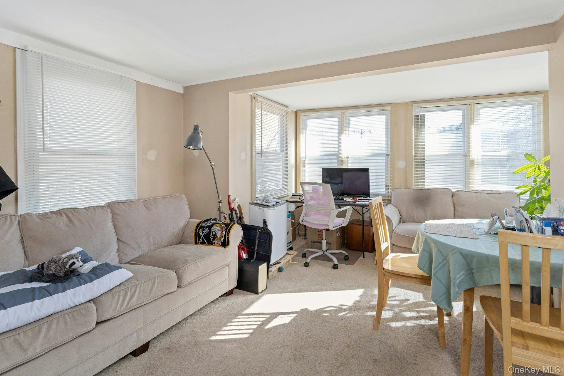 34 Ashburton Road Carmel, NY 10512 - Photo 23 of 34