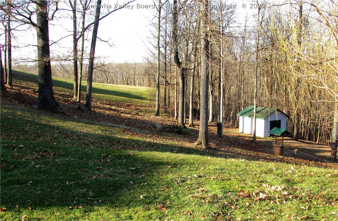 4101 Cabin Rdg Road Leon, WV 25123 - Photo 4 of 24 Gallery Image 4