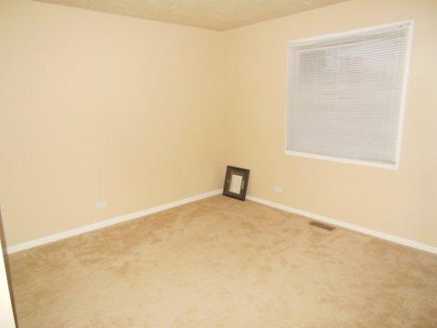 136 Butternut Drive Bolingbrook, IL 60440 - Photo 3 of 8