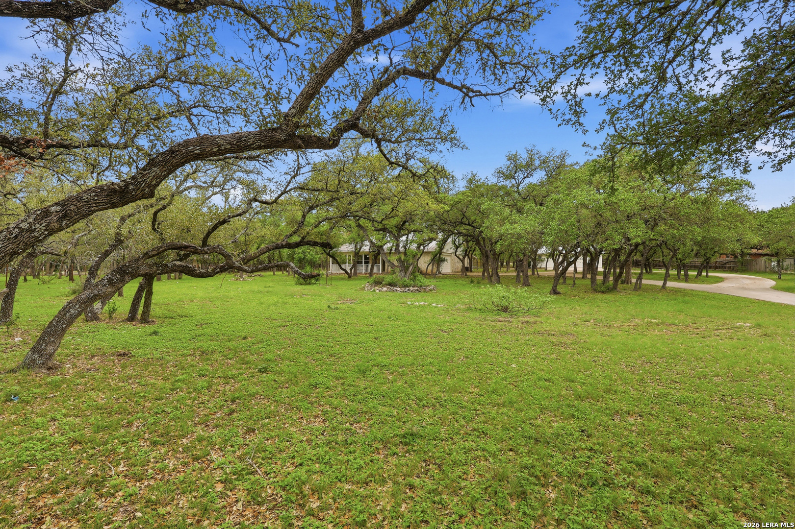 261 Fawn Lane Spring Branch, TX 78070 - Photo 4 of 44 a backyard of a house with lots of green space