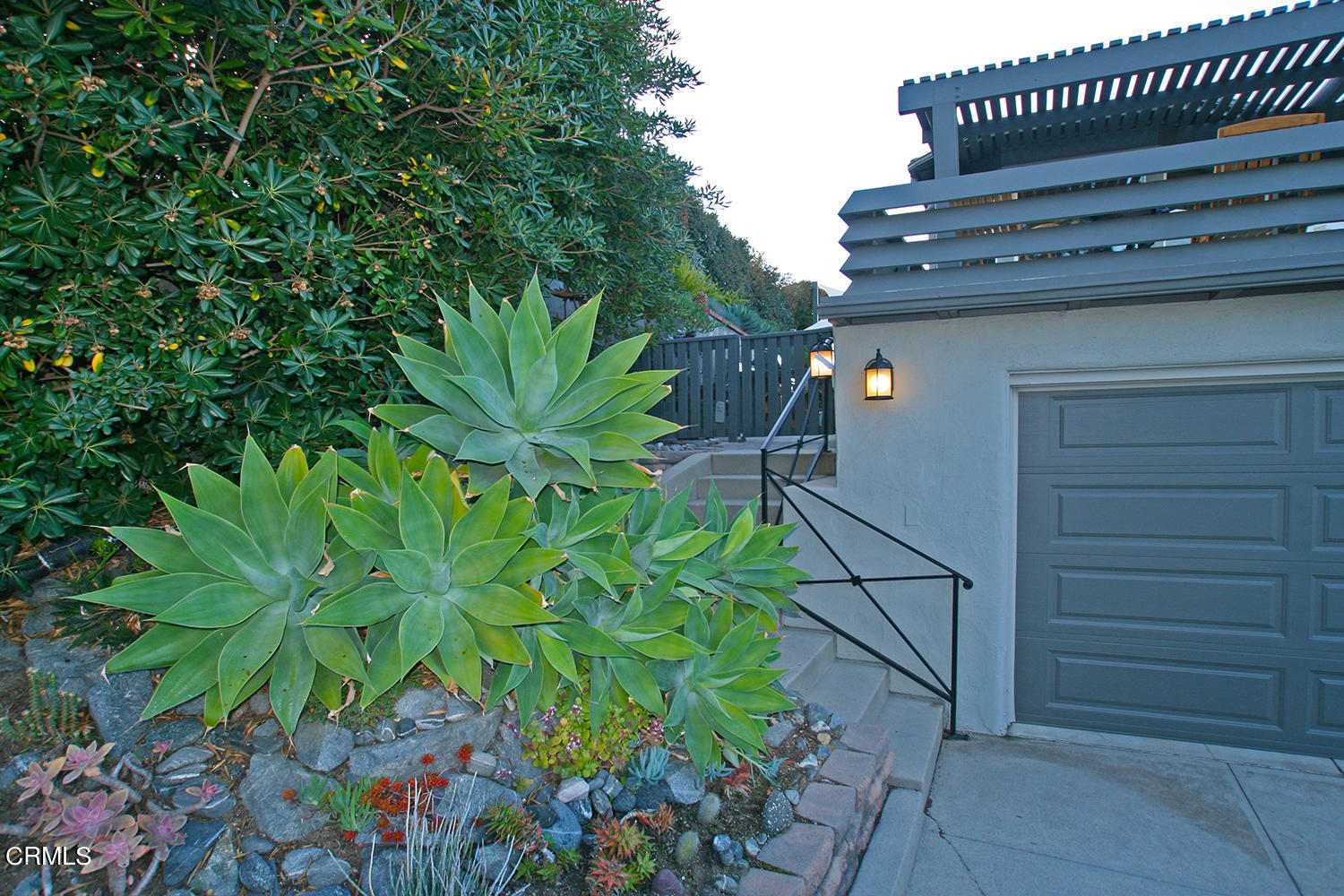 1600 Pleasant Way Pasadena, CA 91105 - Photo 45 of 51 a view of a plant in a garden