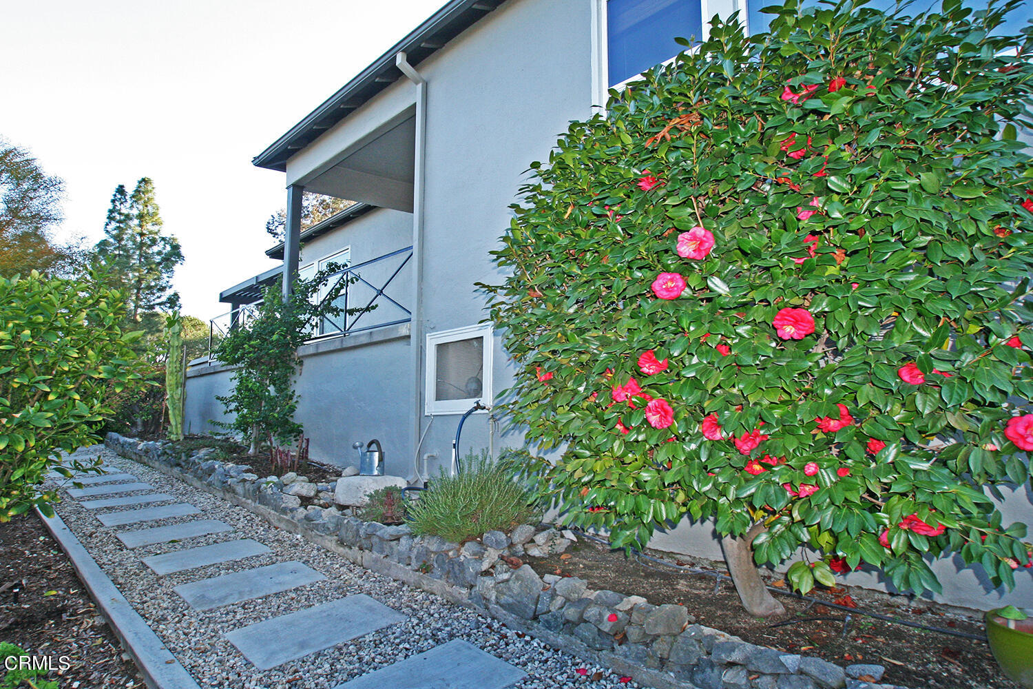 1600 Pleasant Way Pasadena, CA 91105 - Photo 46 of 51 a flower plants in front of a house