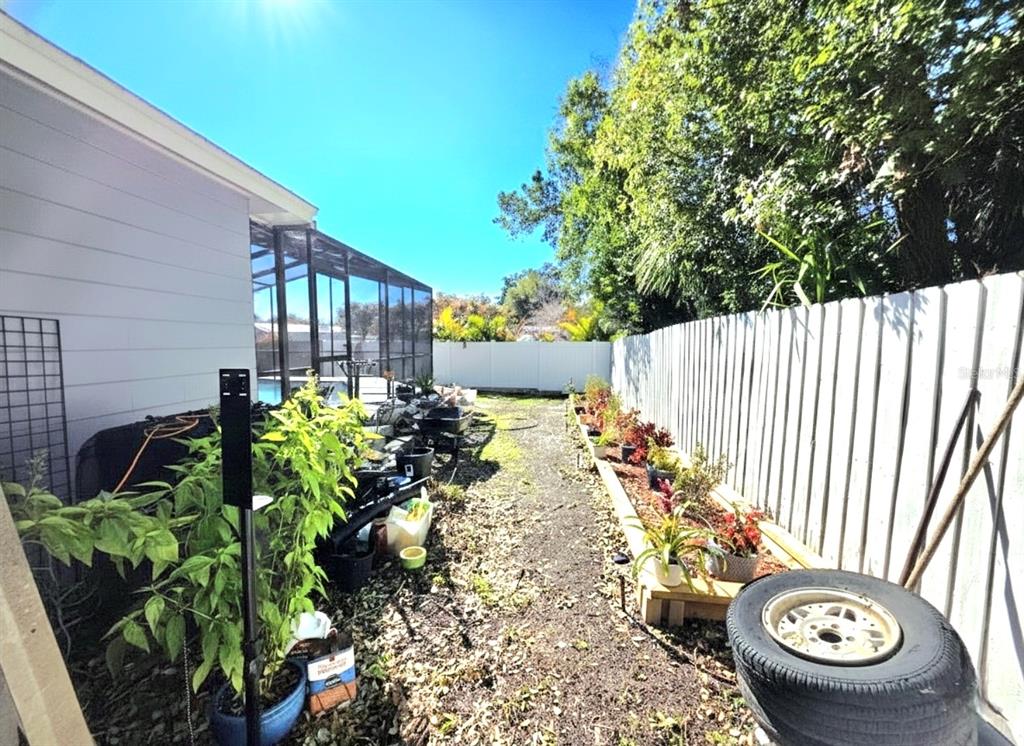 6736 Ralston Beach Circle Tampa, FL 33614 - Photo 32 of 37 a garden view with tall trees
