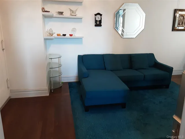 a view of a room with furniture and wooden floor