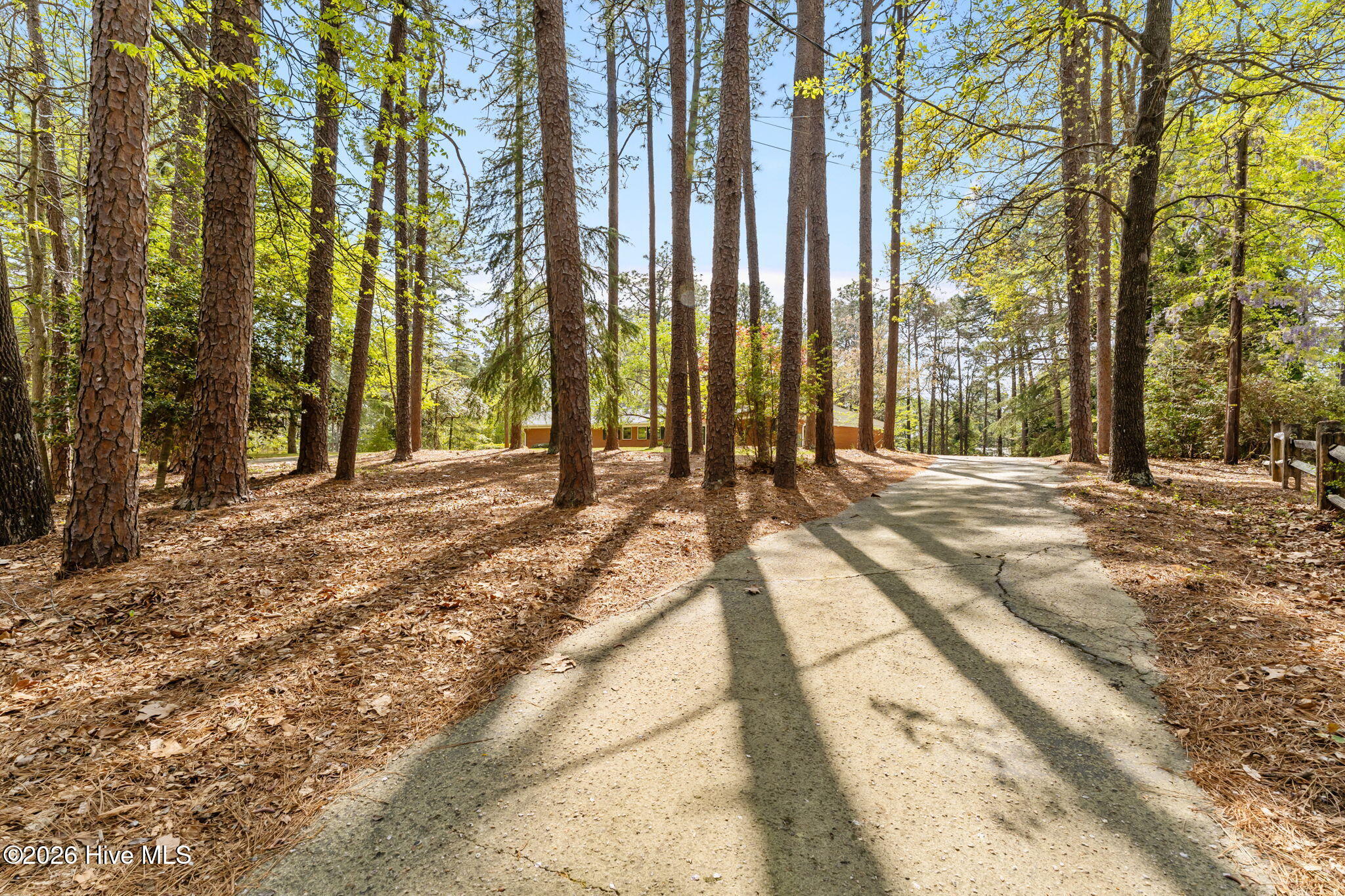 225 Arbutus Road Southern Pines, NC 28387 - Photo 49 of 55 58-web-or-mls-DSC06479