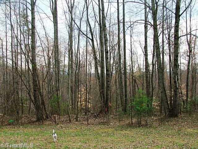 9 State Line Chruch Road, Unit 9 Westfield, NC 27053 - Photo 8 of 9 Other. LEFT SIDE OFF ROAD LINES FLAGGED