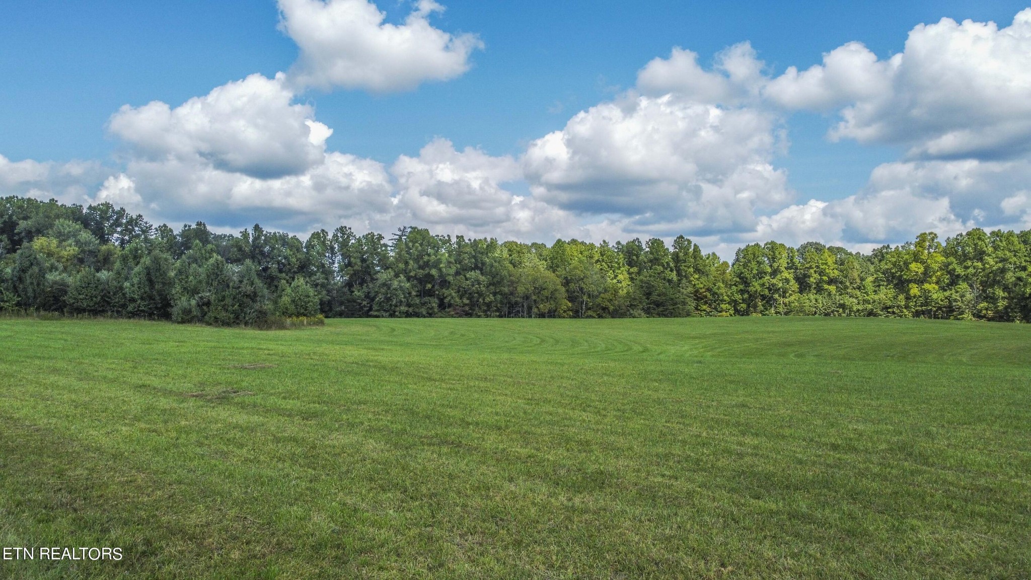 201 Lindsey Howard Road Lancing, TN 37770 - Photo 17 of 19 Gallery Image 17