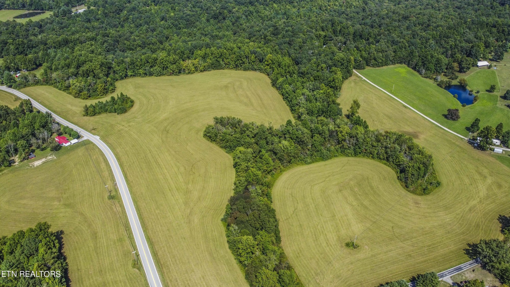 201 Lindsey Howard Road Lancing, TN 37770 - Photo 7 of 19 Gallery Image 7