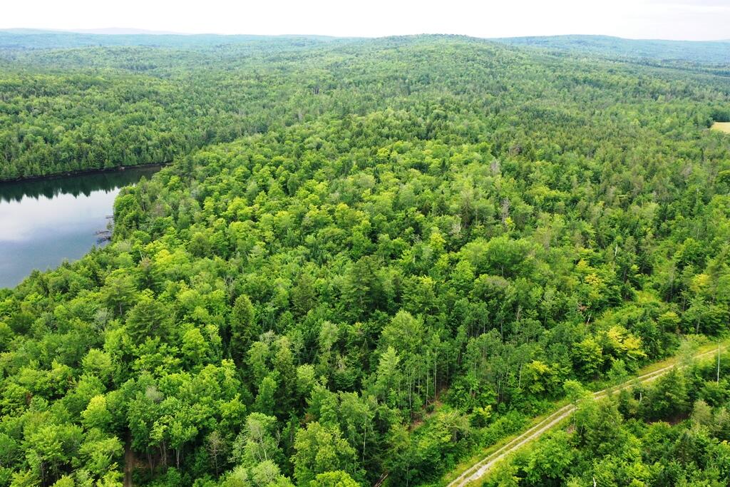 0 Larrabee Road Parkman, ME 04443 - Photo 9 of 21 DJI_0597