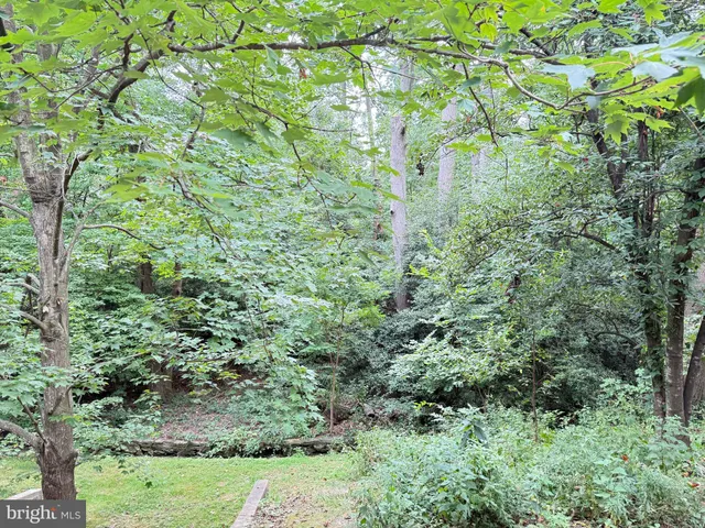 $349,900 | 1415 South Edgewood Street, Unit 463, Arlington, VA 22204