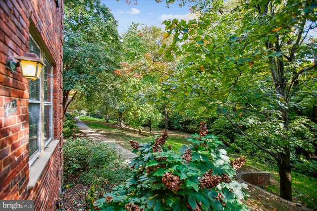 a picture of flowers in a garden