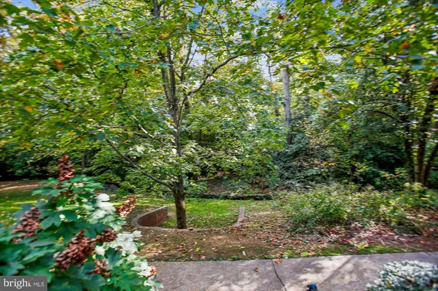 a view of a tennis court