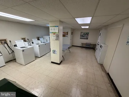 a close up of a tree