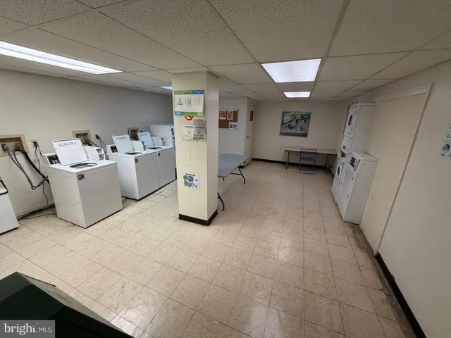 a close up of a tree