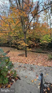 $339,900 | 1415 South Edgewood Street, Unit 463, Arlington, VA 22204