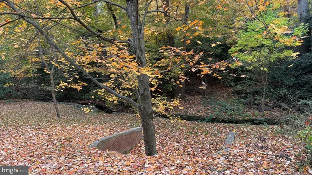 $339,900 | 1415 South Edgewood Street, Unit 463, Arlington, VA 22204