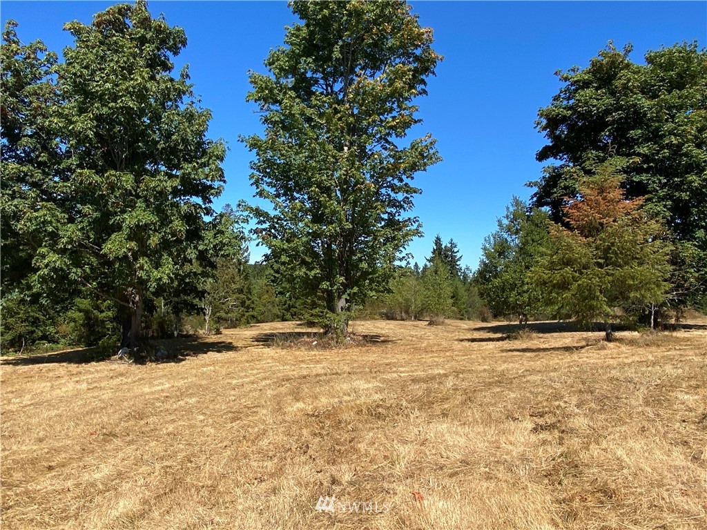 611 Old Gardiner Road Sequim, WA 98382 - Photo 7 of 23 Gallery Image 7