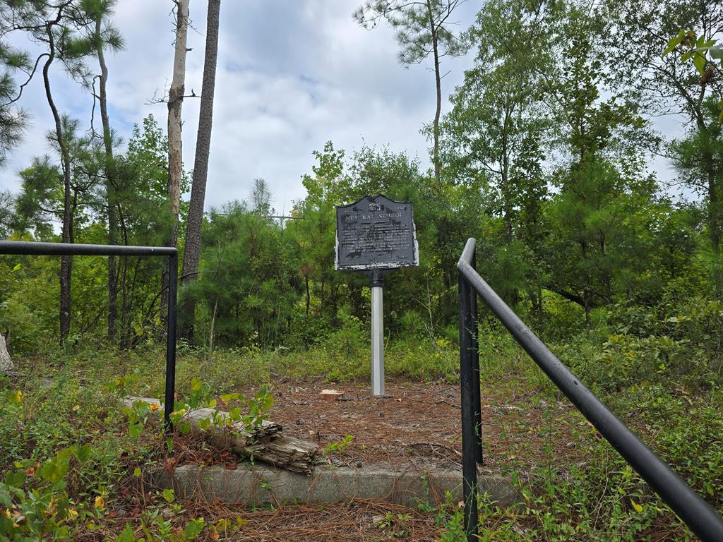 Tbd Central School Road Rembert, SC 29128 - Photo 4 of 4