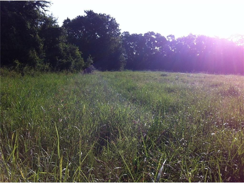 191 Boogaerts Road Boyce, LA 71409 - Photo 1 of 1 Gallery Image 1