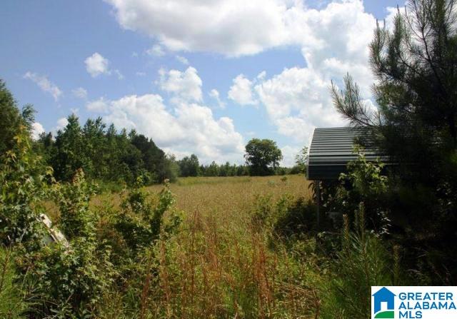 0 Pleasant Grove Road, Unit 70 14 ACRES Lineville, AL 36266 - Photo 5 of 21 Gallery Image 5