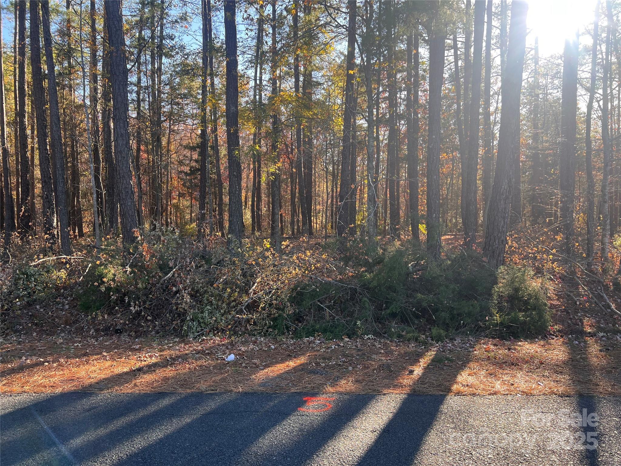 Tbd Steele Road, Unit 5 Waxhaw, NC 28173 - Photo 2 of 9 a view of a backyard