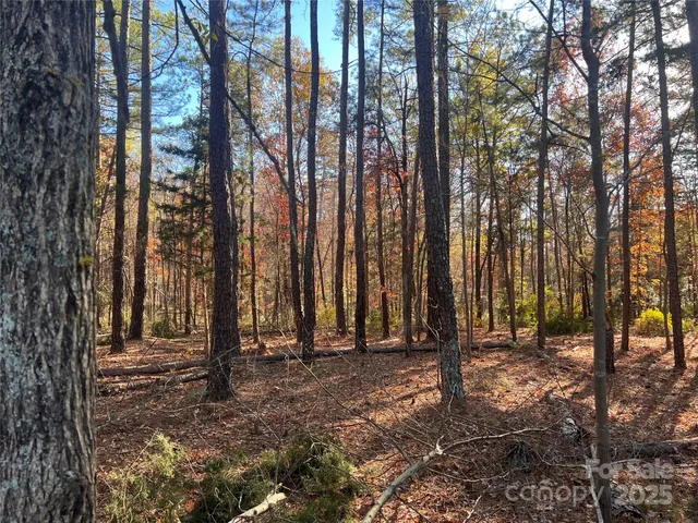 $365,000 | Tbd Steele Road, Unit 5, Waxhaw, NC 28173