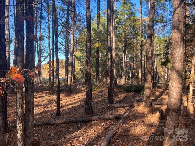 $365,000 | Tbd Steele Road, Unit 5, Waxhaw, NC 28173