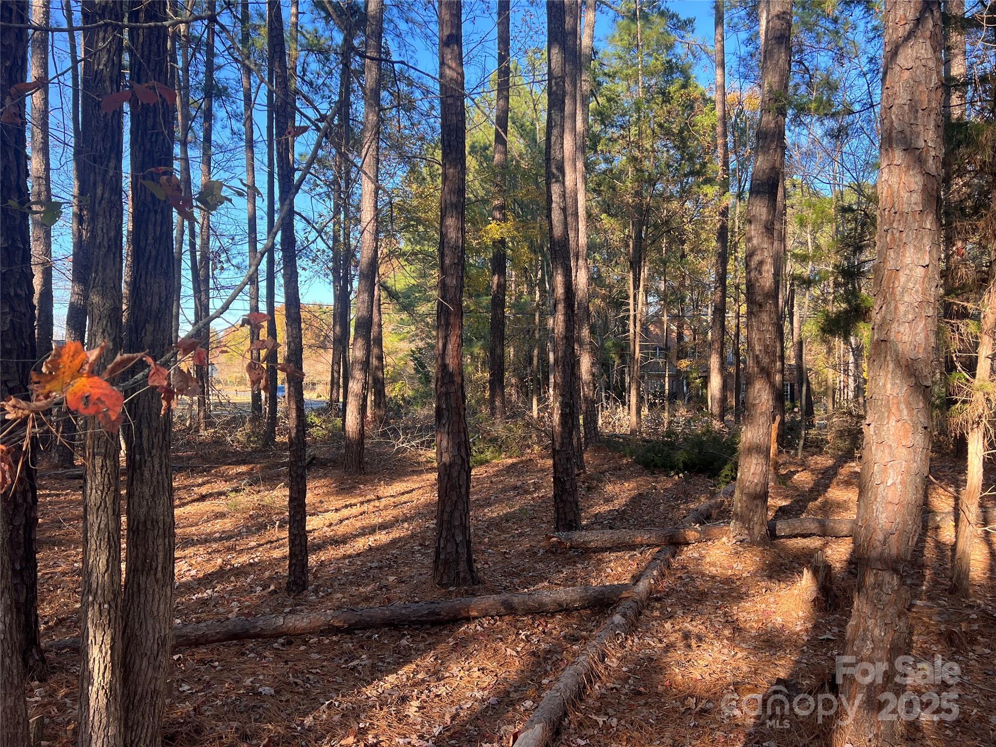 Tbd Steele Road, Unit 5 Waxhaw, NC 28173 - Photo 4 of 9 a view of a yard with a tree