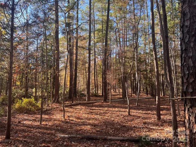 $365,000 | Tbd Steele Road, Unit 5, Waxhaw, NC 28173