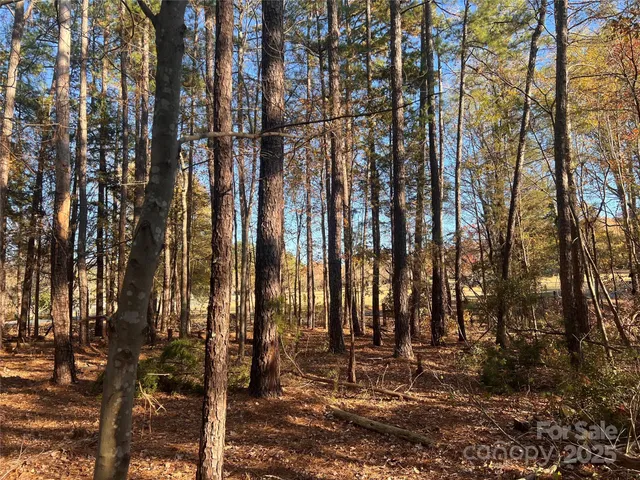 $365,000 | Tbd Steele Road, Unit 5, Waxhaw, NC 28173