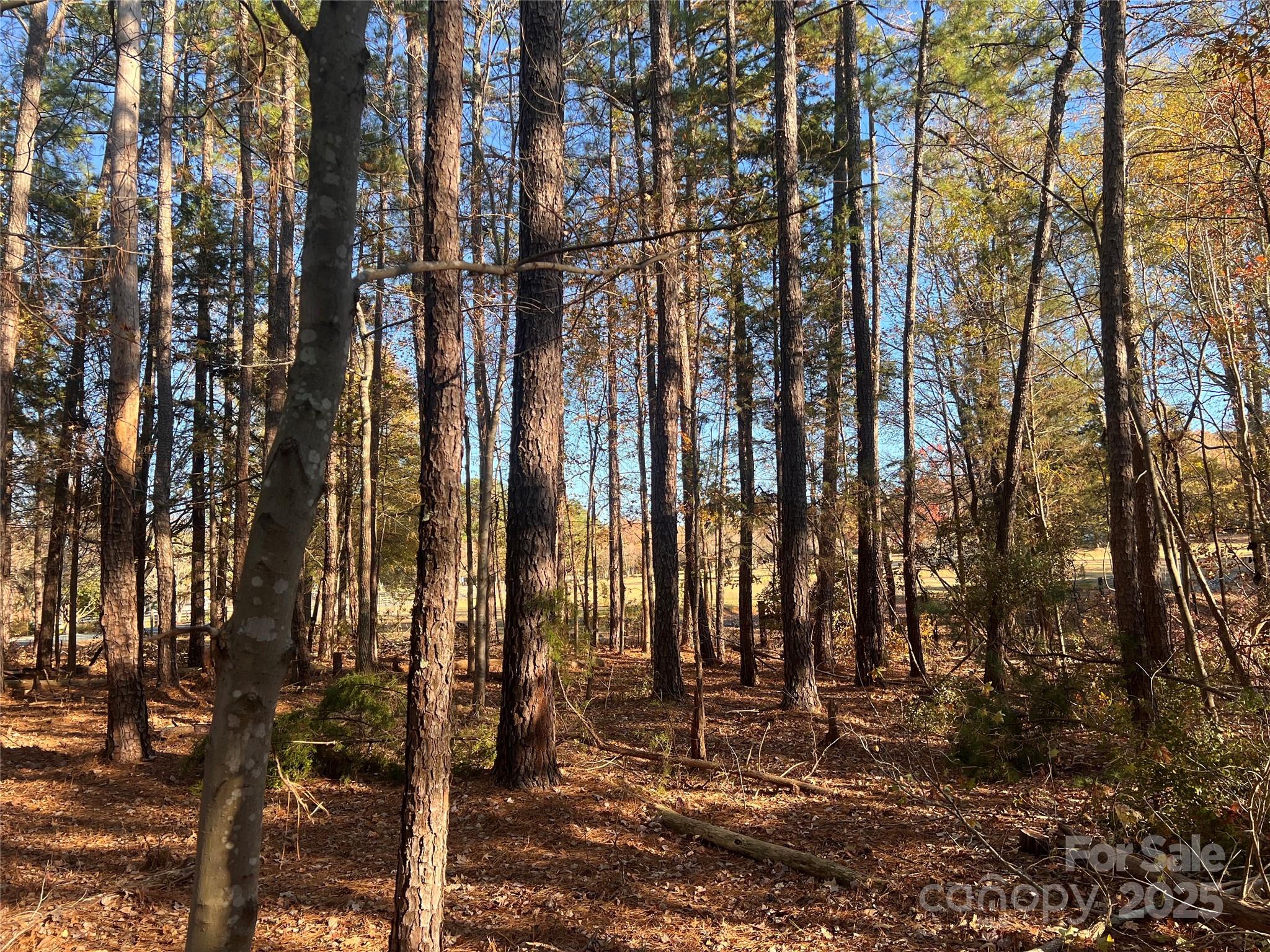 Tbd Steele Road, Unit 5 Waxhaw, NC 28173 - Photo 6 of 9 a view of a forest with trees