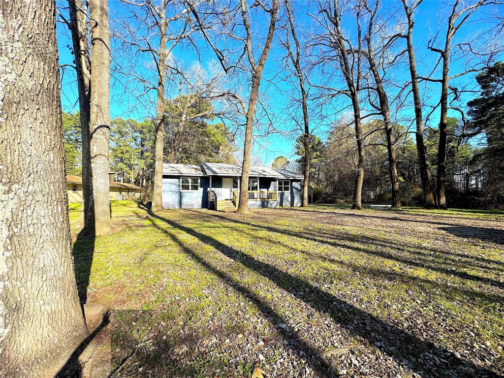 281 Lake Drive Mount Vernon, TX 75457 - Photo 12 of 13 a view of a yard with basketball court