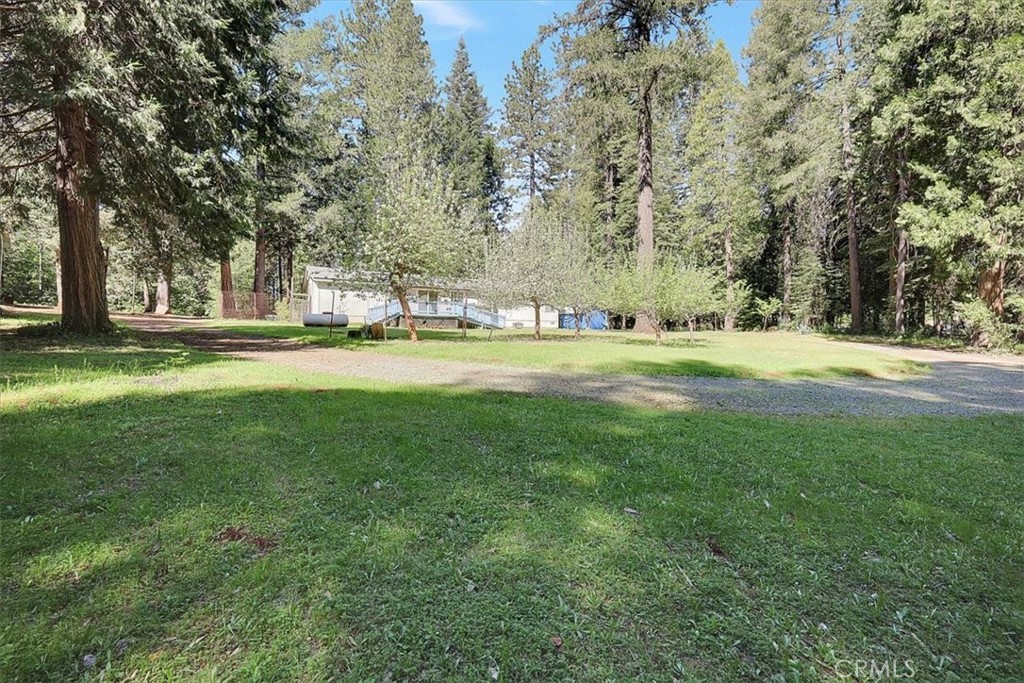 138 Big Fir Road Forbestown, CA 95941 - Photo 43 of 53