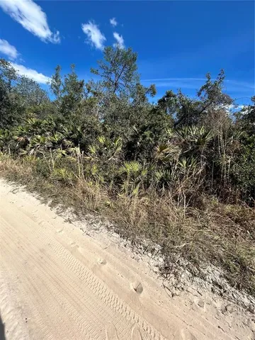 a view of a yard with a tree