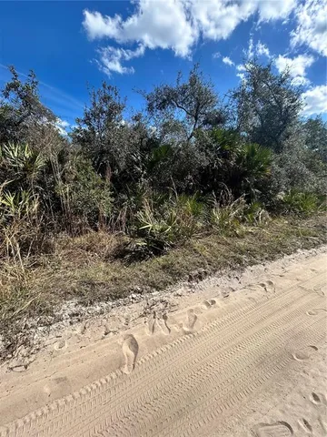 a view of a yard with a tree