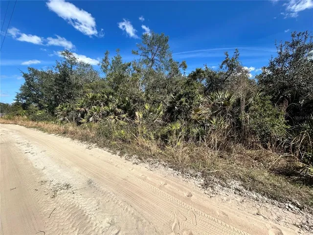 a view of a yard with a tree