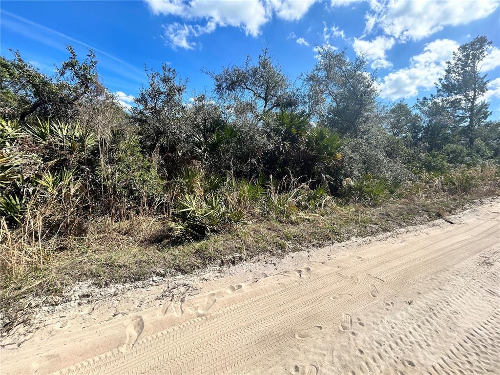Deer Crossing Road Altoona, FL 32702 - Photo 8 of 13 a view of a yard with a tree
