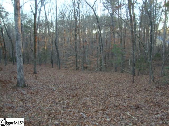 13 Sunset Point Drive Anderson, SC 29626 - Photo 8 of 36 Gallery Image 8