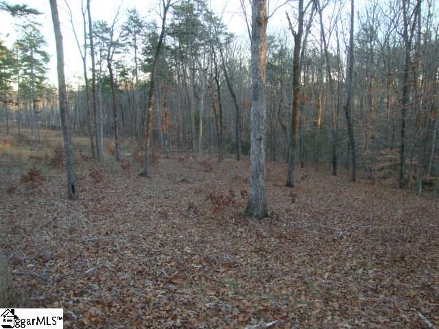 13 Sunset Point Drive Anderson, SC 29626 - Photo 9 of 36 Gallery Image 9