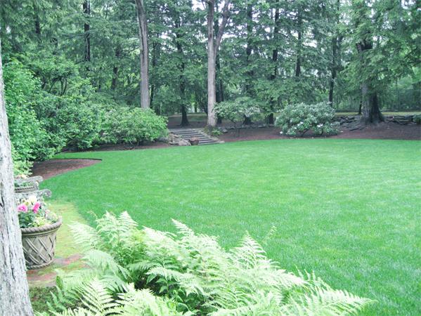 21 Albion Road Wellesley, MA 02481 - Photo 20 of 26